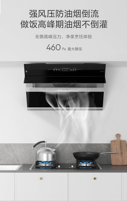 SAKURA樱花吸油烟机SCR-J301A 品质与价格的全面解析